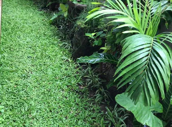 Griya Telaga Jumpung Homestay
